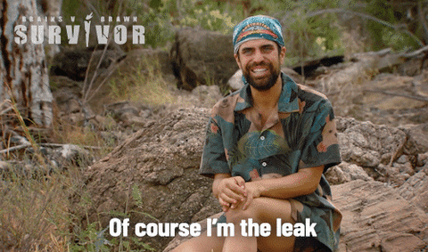 Im A Survivor Of Course I'm Leak GIF