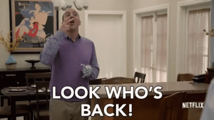 Get whose back. Look who's back. Welcome back gif.
