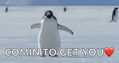 Im Coming To Get You Cute Penguin GIF