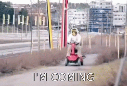 Im Coming Monkey Skating GIF