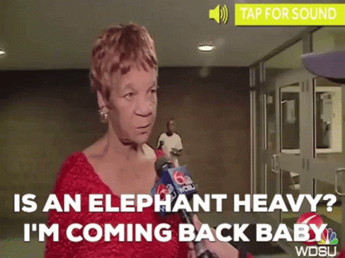 Is An Elepant Heavy Im Coming Back Baby GIF