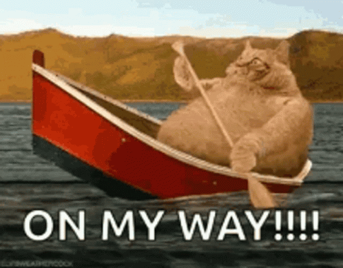 Im Coming On My Way Orange Cat GIF