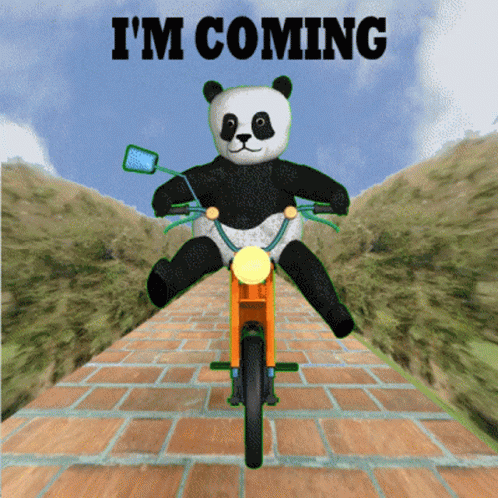 Im Coming Panda Bike GIF