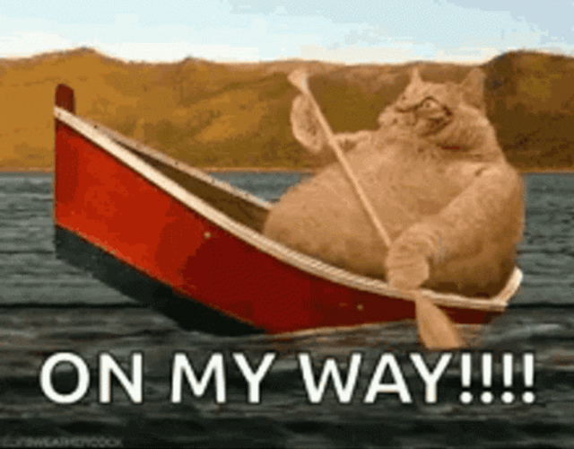 Im Coming On My Way Orange Cat GIF