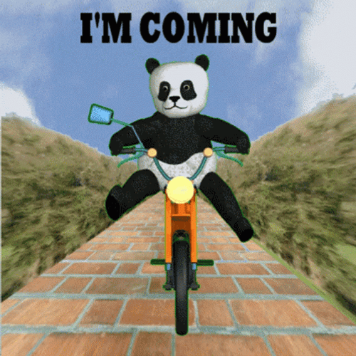 Im Coming Panda Bike GIF
