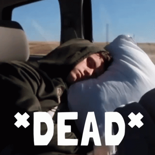 Im Dead Man Sleeping In Car GIF