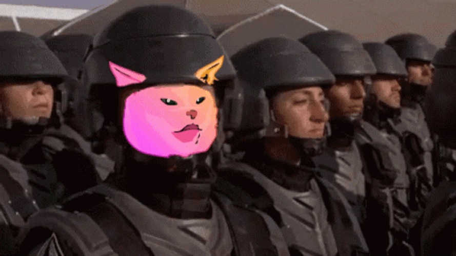 Im Doing My Part Pink Fox Soldier GIF