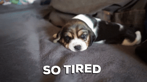 Im Exhausted Cute Puppy On Bed GIF