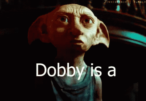 Im Free Dobby Said GIF