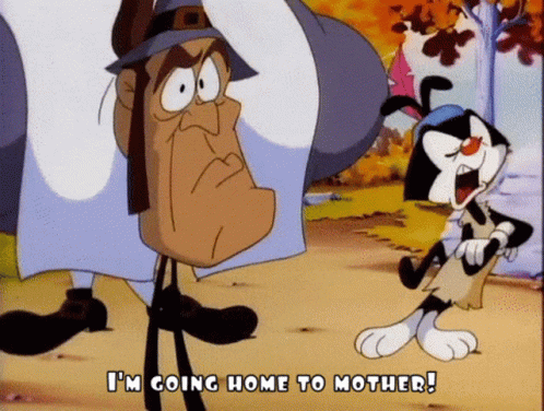 Im Going Home Animaniacs Quarrel GIF