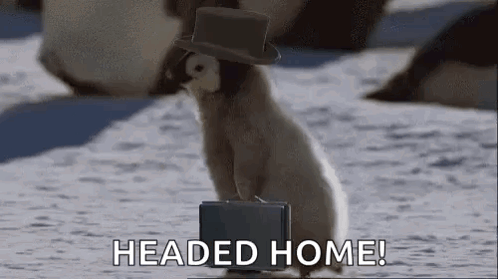 Im Going Home Penguin Heading Home GIF