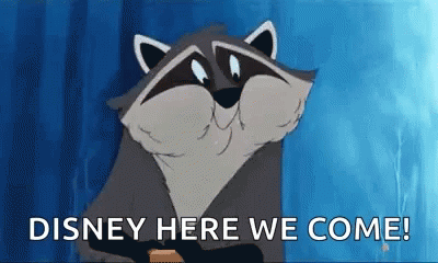 Im Going To Disney World Meeko Racoon GIF