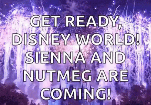 Im Going To Disney World Amazing Fireworks GIF