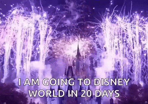Im Going To Disney World In 20 Days GIF