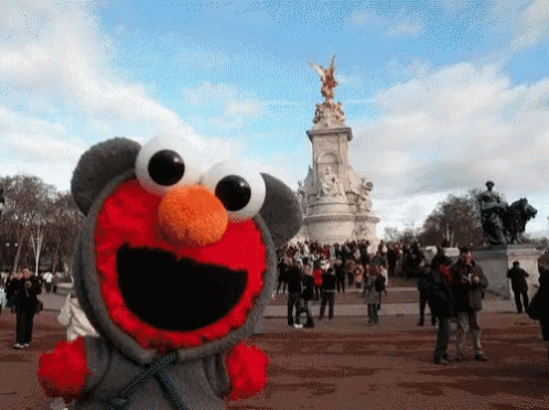 Im Going To Disney World Elmo Close Up GIF