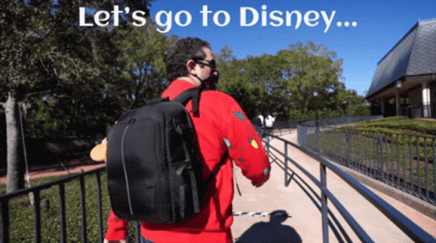 Im Going To Disney World Let's Go GIF