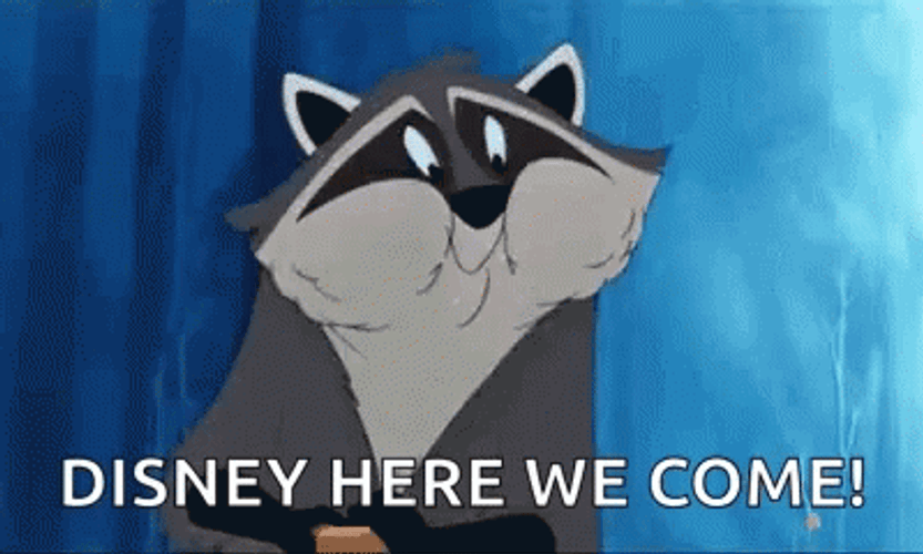 Im Going To Disney World Meeko Racoon GIF