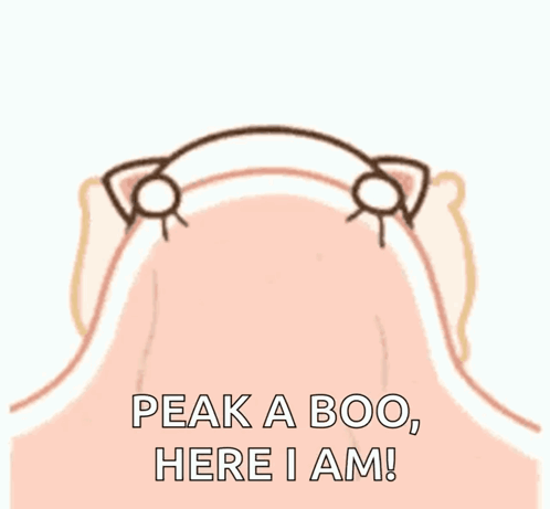 Im Here Peak A Boo GIF