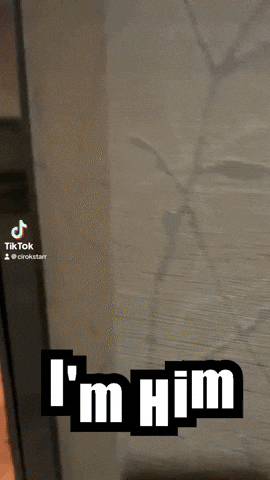 Im Him Guy Leaving GIF