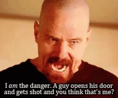 Im In Danger I Am The Danger Bryan Cranston GIF