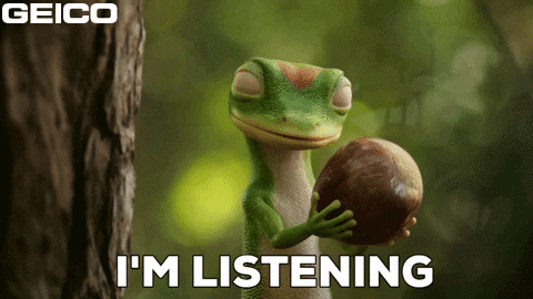Im Listening Curious Gecko GIF