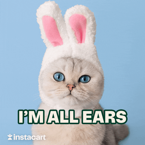 Im Listening Cute Cat Bunny Ears GIF