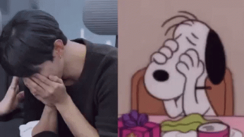 Im Not Crying Youre Crying Snoopy GIF