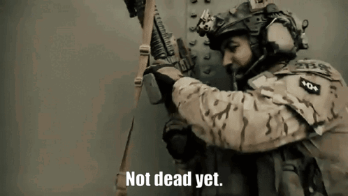 Im Not Dead Yet Neil Brown The Seal GIF