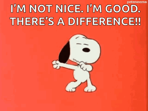 I’m Not Nice I’m Good GIF