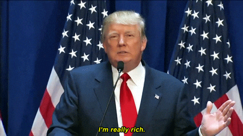 Im Rich Donald Trump Presidentiable GIF