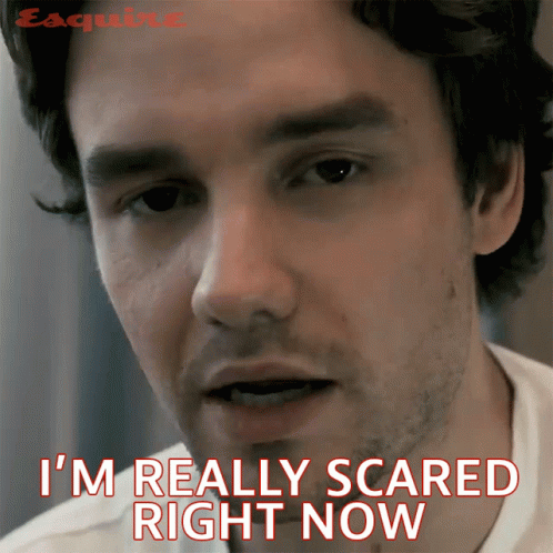 Im So Scared Liam Payne GIF