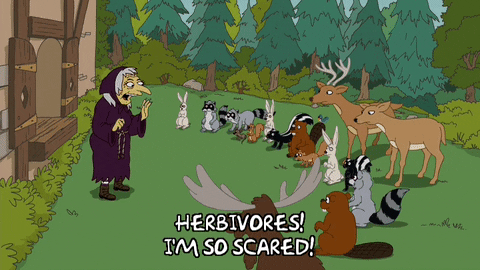 Im So Scared The Simpsons Witch GIF