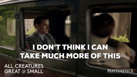 Im Tired I Can't Take Much More GIF