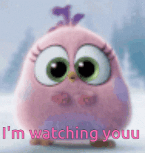 Im Watching You Angry Bird Big Eyes GIF