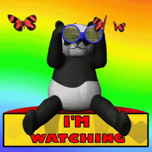 Im Watching You Bear Telescope GIF