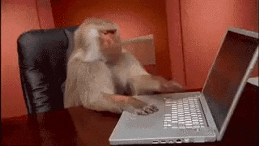 Impatient Working Monkey Typing GIF