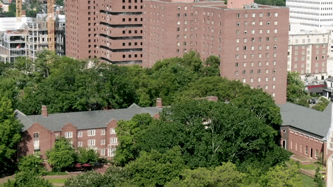 Implosion Of Single Building Aerial View GIF
