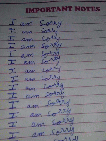 Important Notes I Am Sorry Apology GIF