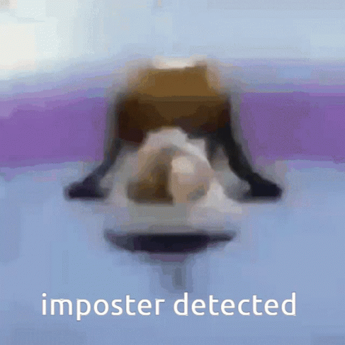 Imposter Detected Turning To The Front GIF