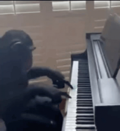 Impressive Monkey Playing Piano GIF