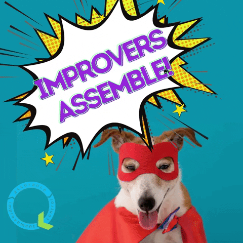 Improvers Assemble Dog Wearing Superhero Costume GIF