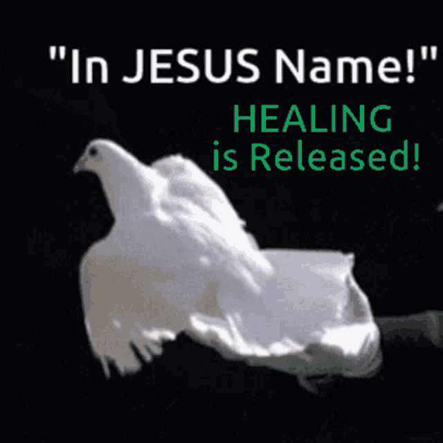 In Christ Healing Is Released Gif GIF
