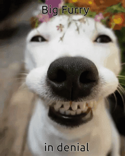 In Denial Cute Mischievous Puppy GIF