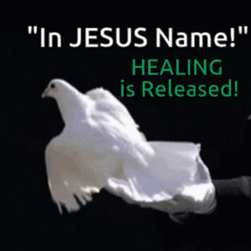 In Jesus Name Healing Is Released Doves GIF