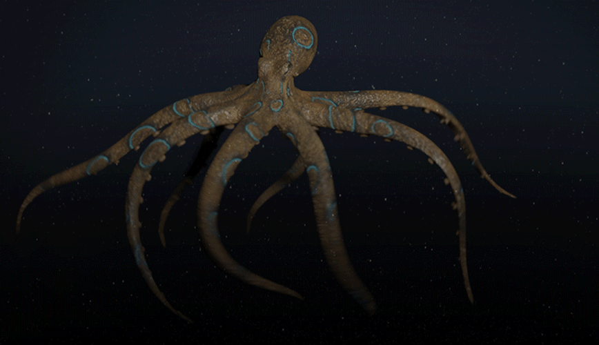Incredible Glow In The Dark Octopus GIF