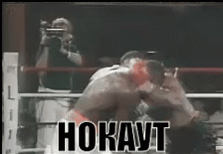 Incredible Knockout Punch Mike Tyson Old Fights GIF