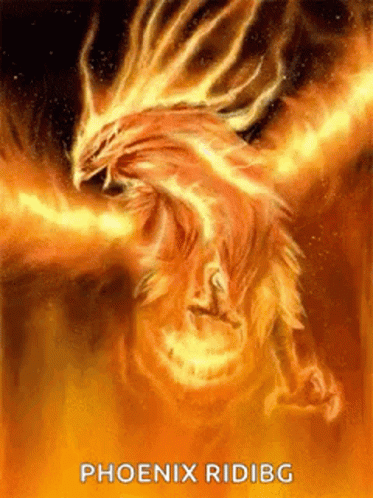 Incredible Phoenix Digital Artwork GIF