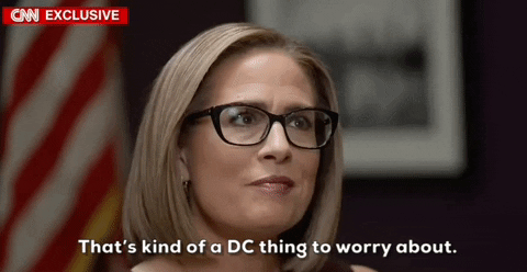 Independent Kyrsten Sinema Not Mine To Worry About GIF