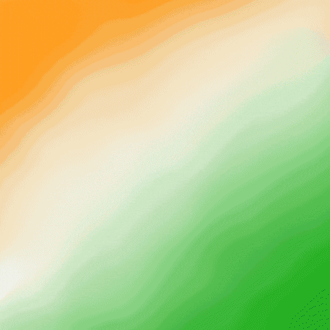 India Cricket Advertising Display GIF