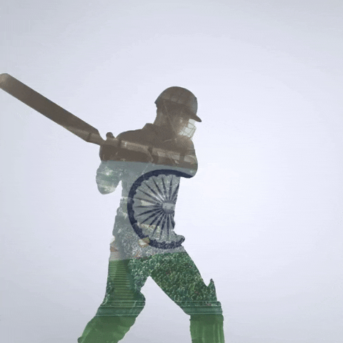 India Cricket Player GIF